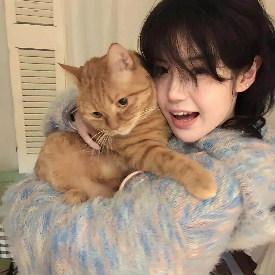 反诈风暴之罪恶来电