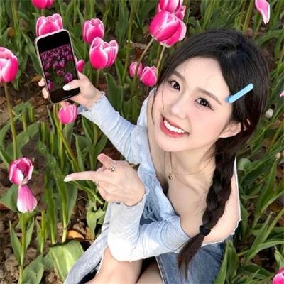 玫瑰计划